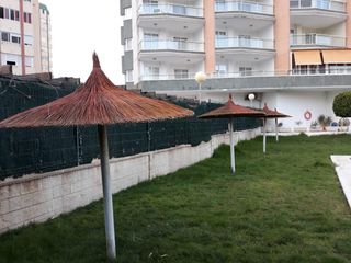 Se hacen sombrillas y pergolas. Ect