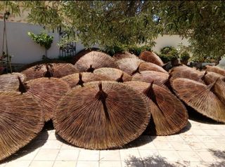 Se hacen sombrillas y pergolas. Ect