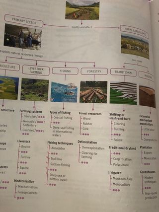 libro  geography and  history 3 secundaria