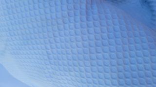 Saco y capota bugaboo Uzturre