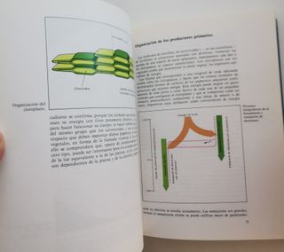 Ecología. R. Margalef + Ecologismo Ramon Folch