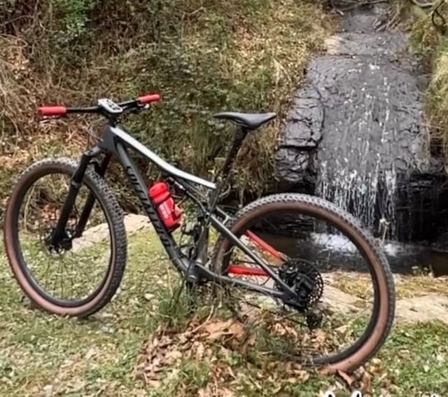 Specialized Epic Expert 