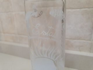 Set 4 contenitori 20cl