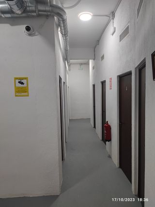 TRASTEROS EN ALQUILER