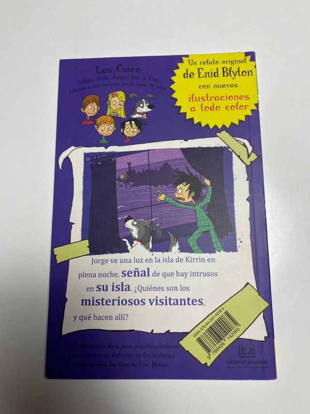 Los cinco y el gran enigma