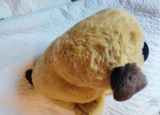 Peluche Perro
