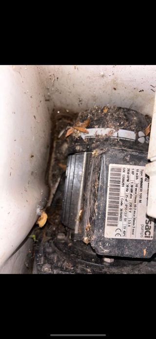 recambios de bombas/motores de piscina