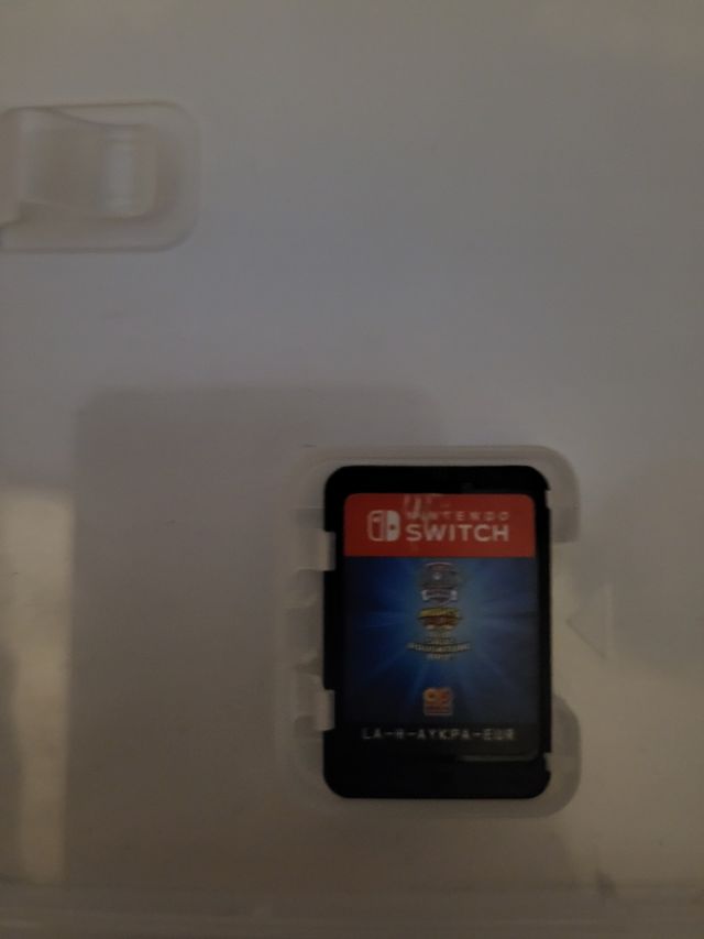 Paw Patrol Nintendo Switch