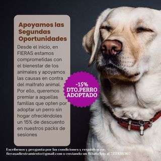 Educación y Adiestramiento Canino