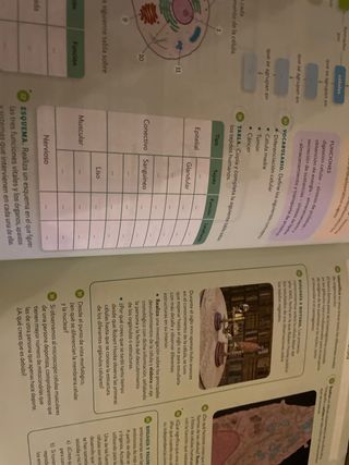 Biologia y Geologia 3 Santillana