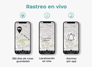 Salind GPS 4G - Rastreador para Vehículos