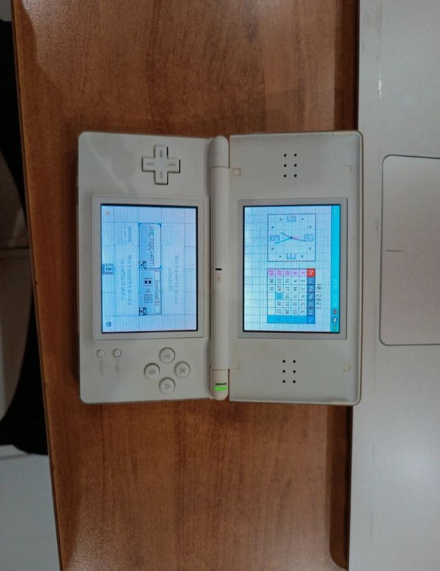 Consolle Nintendo DS lite