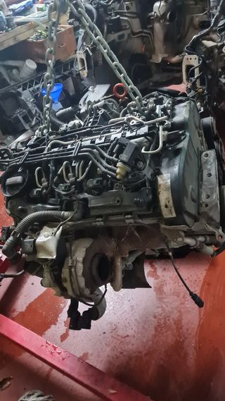 Despiece de motor grupo vag 1.6 tdi CAY