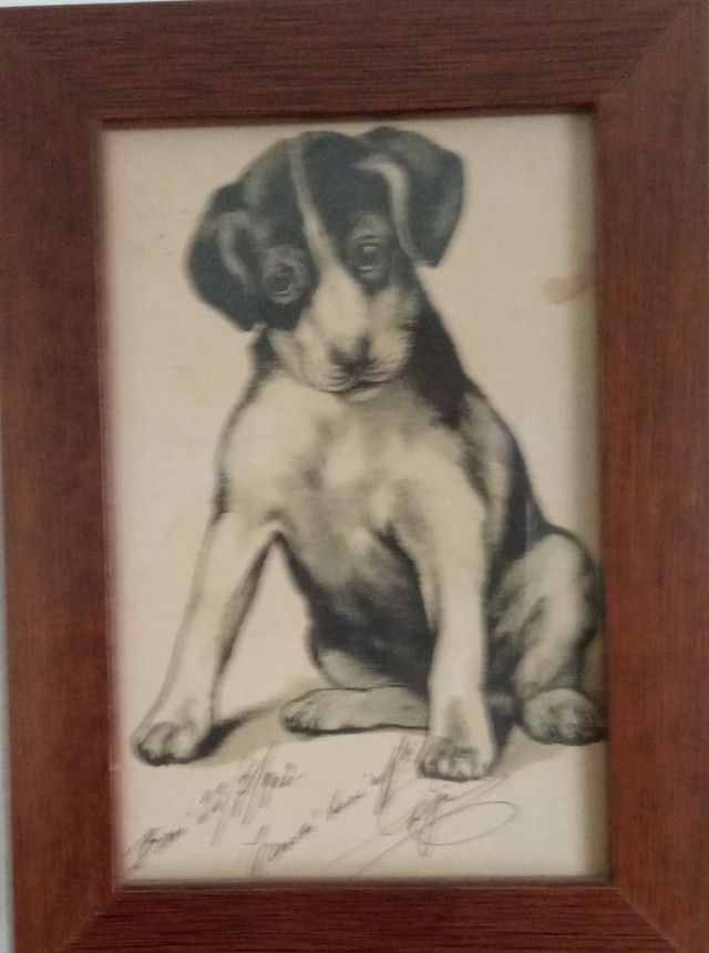 #quadretto #cane #idearegalo