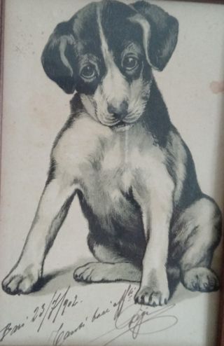 #quadretto #cane #idearegalo