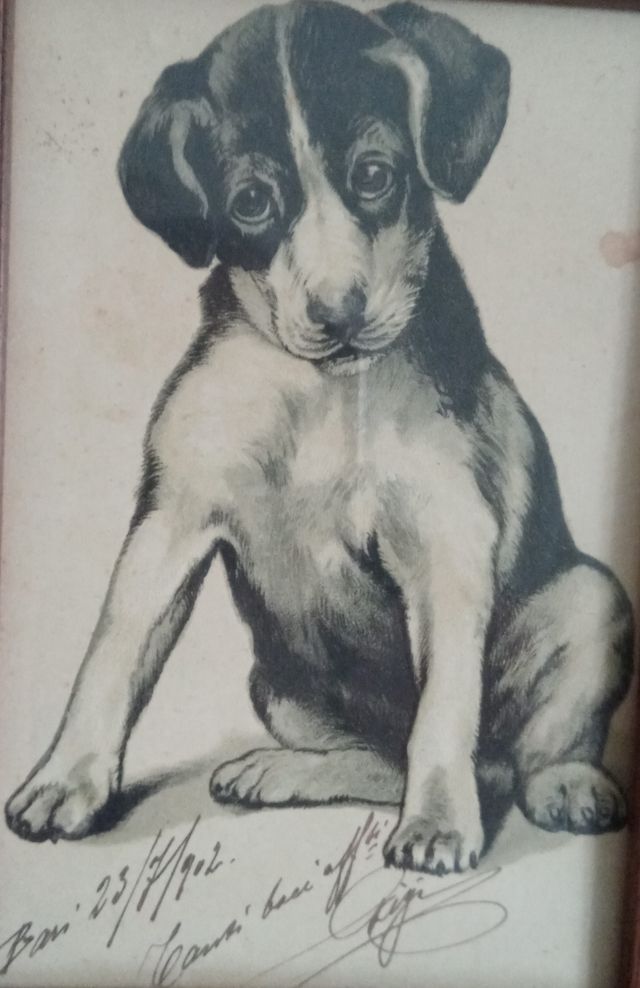 #quadretto #cane #idearegalo