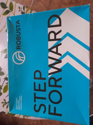Zapato de seguridad ROBUSTA 