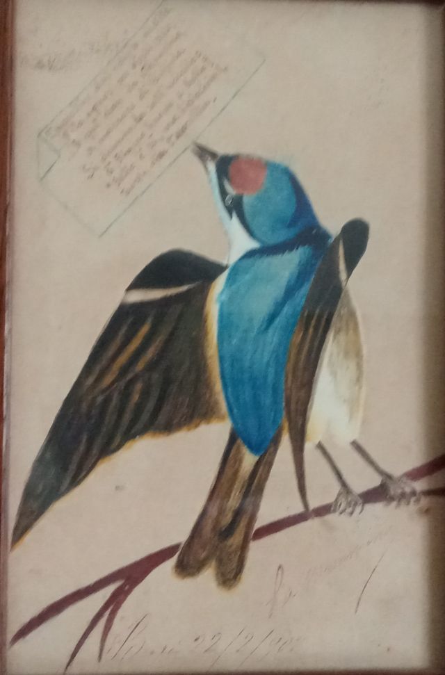 #quadretto con #uccellino #idearegalo