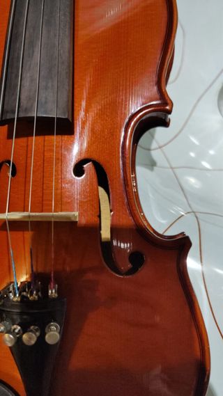 Violín 1/2 con estuche