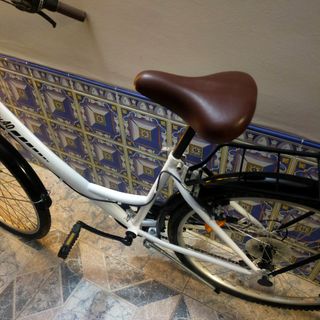 Bicicleta de mujer,canasta de regalo