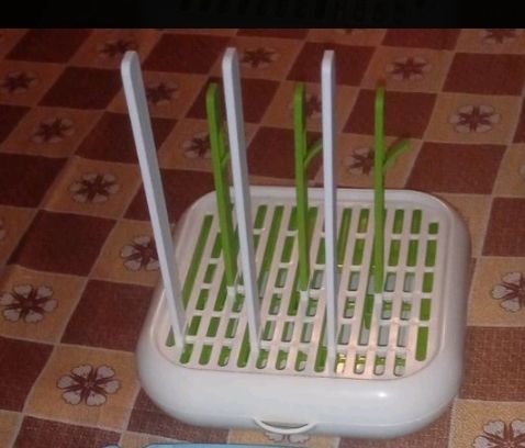 ESCURRE BIBERONES CHICCO