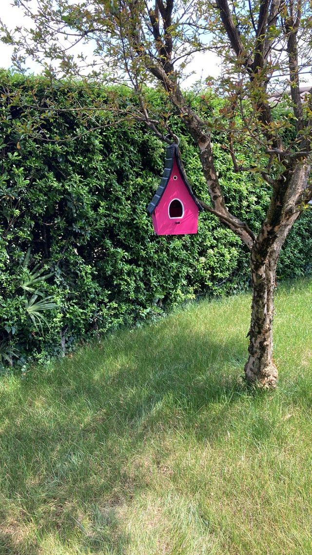 Casette in legno uccellini