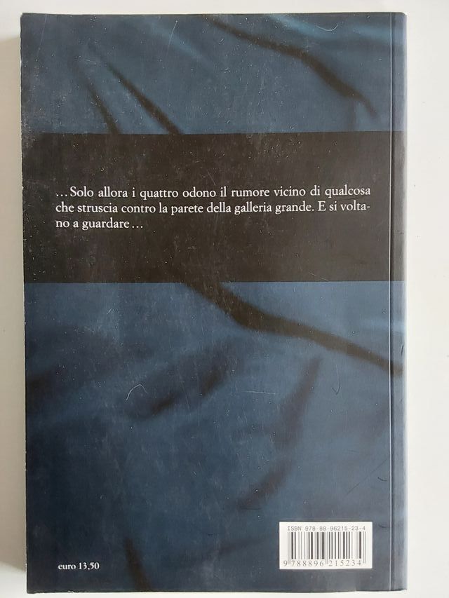 Mauro Neri, La lanterna del principe