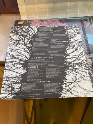 Lp Icicle Works 1984