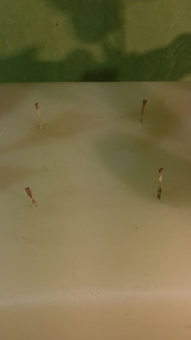 Centrotavola con enorme candela