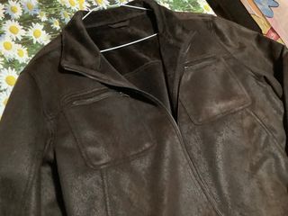 Sprinfield hombre nueva chaqueta marrón