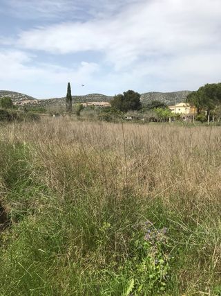Terreno Rústico Ulldecona 3.687m² - Solo Plantar
