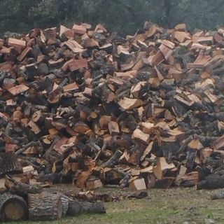 leña de oliva al mejor precio.