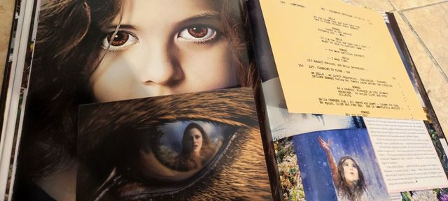 Libro Edición Coleccionista Crepúsculo Firmado