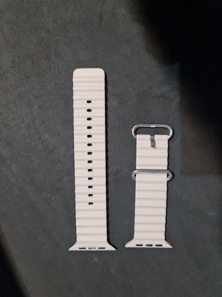 CORREA APPLE WATCH
