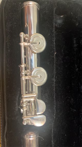 Flauta Travesera (Cambio por bombardino)