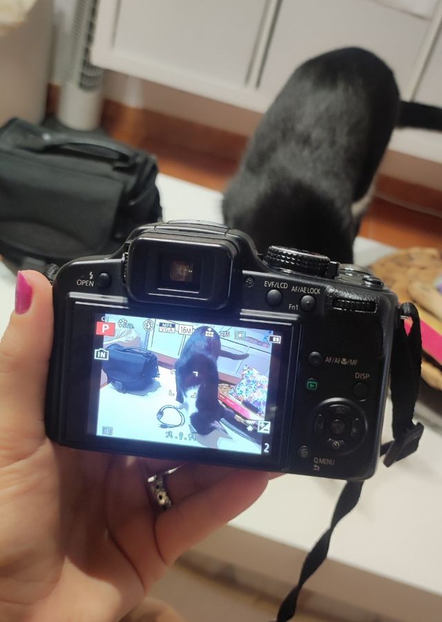 Cámara Compacta Lumix 