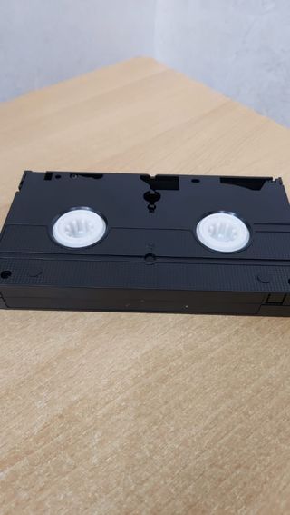 Esplorando il corpo umano serie completa