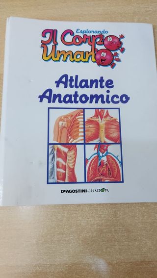 Esplorando il corpo umano serie completa