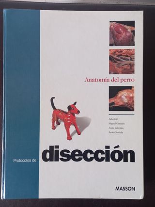 Anatomía del Perro 