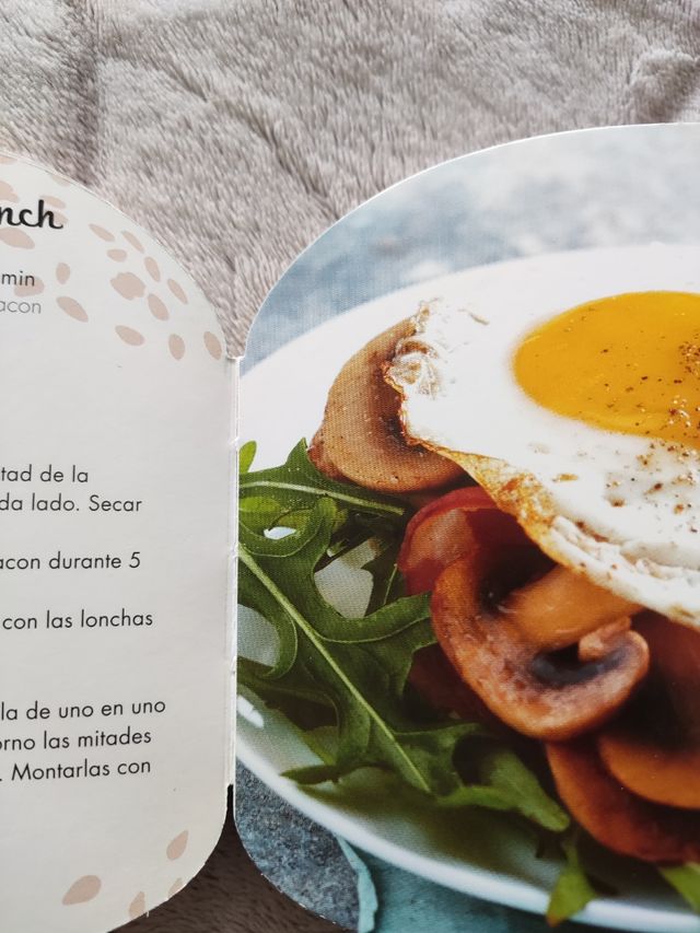 Libro recetas de hamburguesas 🍔