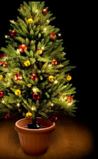 🎅 🎄 vaso per albero di Natale