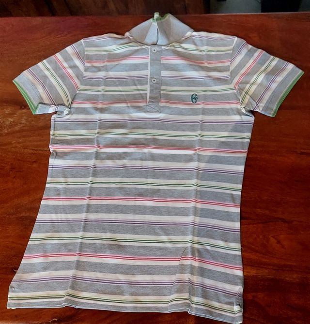 Polo conte of florence