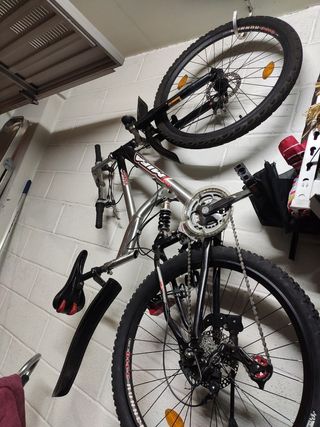 Bicicletas 