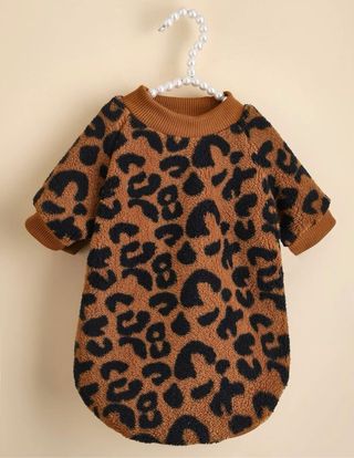 Lote Ropa para perro