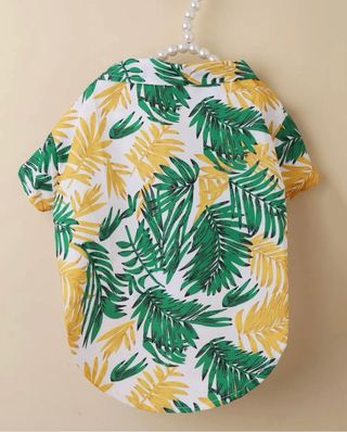 Lote Ropa para perro