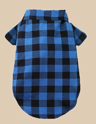 Lote Ropa para perro