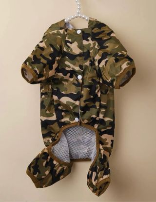 Lote Ropa para perro