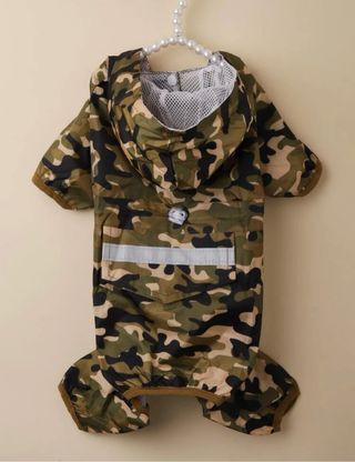 Lote Ropa para perro