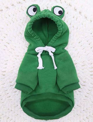 Lote Ropa para perro