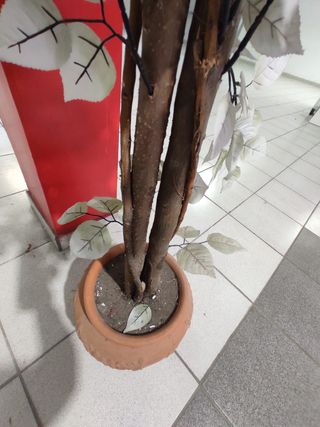 Planta artificial con hojas blancas Altura 1'65 cm